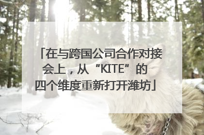 在与跨国公司合作对接会上，从“KITE”的四个维度重新打开潍坊