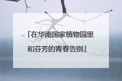 在华南国家植物园里和芬芳的青春告别