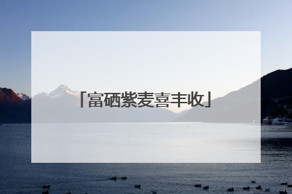 富硒紫麦喜丰收