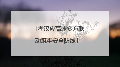 孝汉应高速多方联动筑牢安全防线