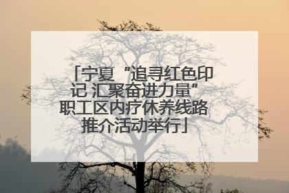 宁夏“追寻红色印记 汇聚奋进力量”职工区内疗休养线路推介活动举行