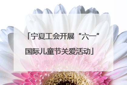 宁夏工会开展“六一”国际儿童节关爱活动