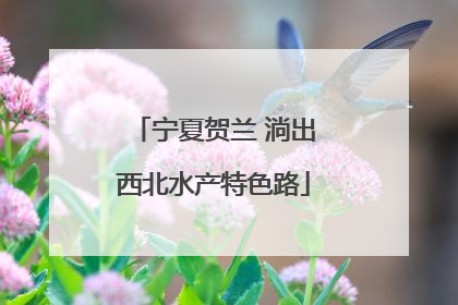 宁夏贺兰 淌出西北水产特色路