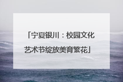 宁夏银川：校园文化艺术节绽放美育繁花