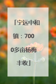 宁远中和镇：7000多亩杨梅丰收