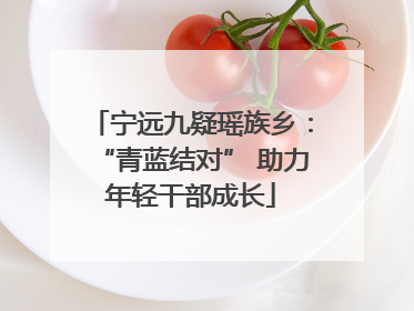 宁远九疑瑶族乡：“青蓝结对” 助力年轻干部成长