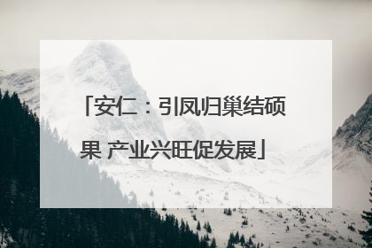 安仁：引凤归巢结硕果 产业兴旺促发展