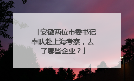 安徽两位市委书记率队赴上海考察，去了哪些企业？