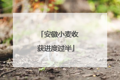安徽小麦收获进度过半