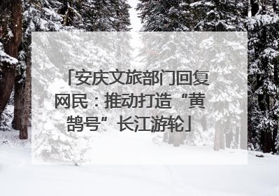 安庆文旅部门回复网民：推动打造“黄鹄号”长江游轮