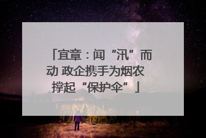 宜章：闻“汛”而动 政企携手为烟农撑起“保护伞”