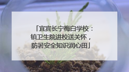 宜宾长宁梅白学校：镇卫生院进校送关怀，防暑安全知识润心田