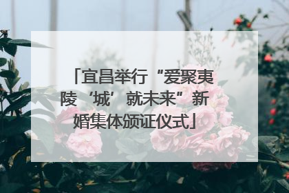 宜昌举行“爱聚夷陵‘城’就未来”新婚集体颁证仪式