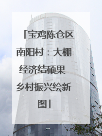 宝鸡陈仓区南阳村：大棚经济结硕果 乡村振兴绘新图