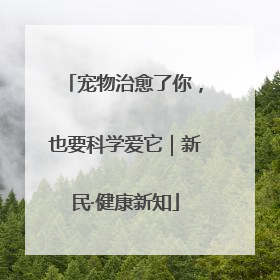 宠物治愈了你，也要科学爱它｜新民·健康新知