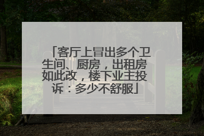 客厅上冒出多个卫生间、厨房，出租房如此改，楼下业主投诉：多少不舒服