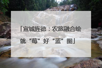宣城旌德：农旅融合绘就“莓”好“蓝”图