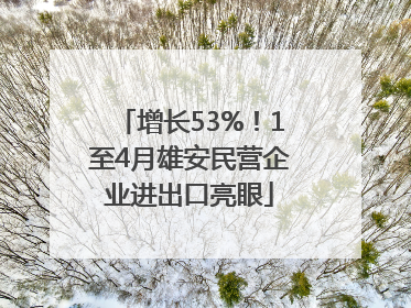 增长53%！1至4月雄安民营企业进出口亮眼