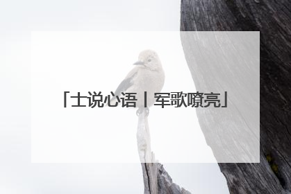 士说心语丨军歌嘹亮