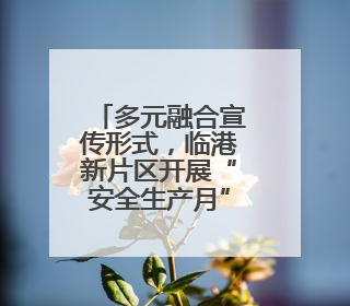 多元融合宣传形式，临港新片区开展“安全生产月”宣传咨询日活动