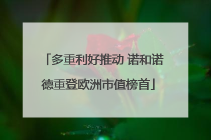 多重利好推动 诺和诺德重登欧洲市值榜首