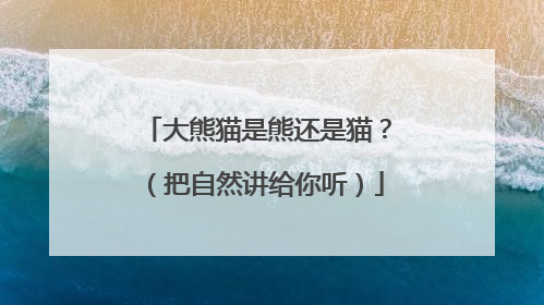大熊猫是熊还是猫？（把自然讲给你听）