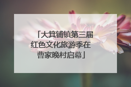 大箕铺镇第三届红色文化旅游季在曹家晚村启幕