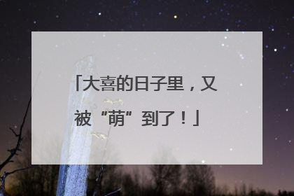 大喜的日子里，又被“萌”到了！