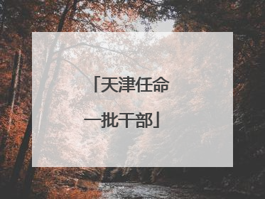 天津任命一批干部