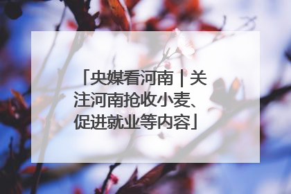 央媒看河南｜关注河南抢收小麦、促进就业等内容