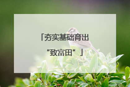 夯实基础育出“致富田”