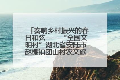 奏响乡村振兴的春日和弦——“全国文明村”湖北省安陆市赵棚镇团山村农文旅融合发展见闻