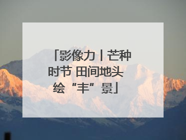 影像力丨芒种时节 田间地头绘“丰”景