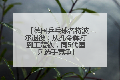 德国乒乓球名将波尔退役：从孔令辉打到王楚钦，同5代国乒选手竞争