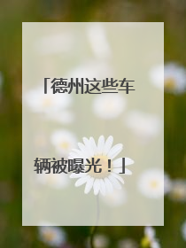 德州这些车辆被曝光！