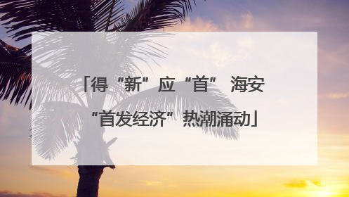 得“新”应“首” 海安“首发经济”热潮涌动