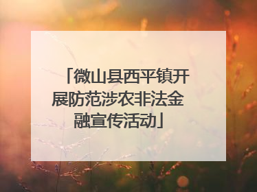 微山县西平镇开展防范涉农非法金融宣传活动