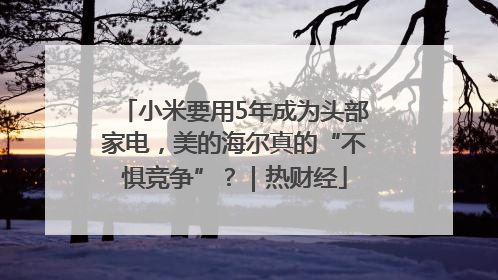 小米要用5年成为头部家电，美的海尔真的“不惧竞争”？｜热财经