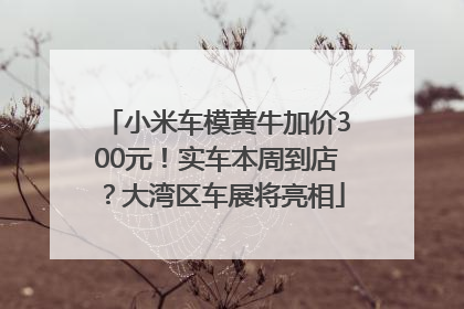 小米车模黄牛加价300元！实车本周到店？大湾区车展将亮相