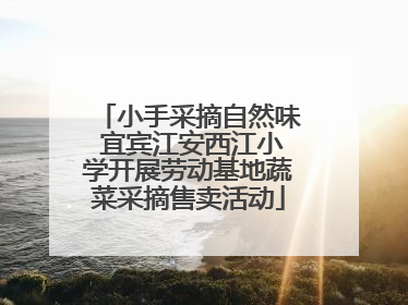 小手采摘自然味 宜宾江安西江小学开展劳动基地蔬菜采摘售卖活动