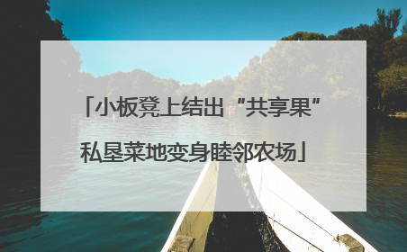 小板凳上结出“共享果” 私垦菜地变身睦邻农场