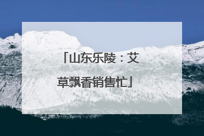 山东乐陵：艾草飘香销售忙