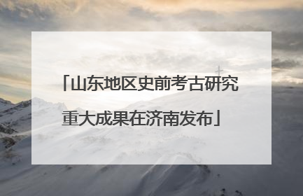 山东地区史前考古研究重大成果在济南发布