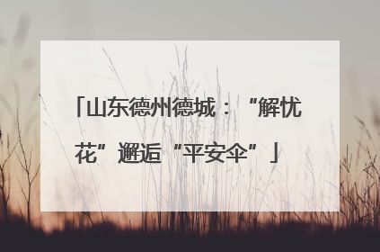 山东德州德城：“解忧花”邂逅“平安伞”