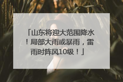 山东将迎大范围降水！局部大雨或暴雨，雷雨时阵风10级！