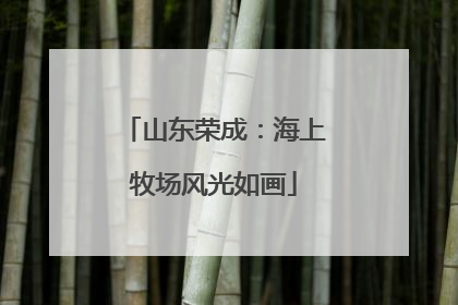 山东荣成：海上牧场风光如画