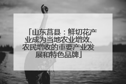 山东莒县：鲜切花产业成为当地农业增效、农民增收的重要产业发展和特色品牌