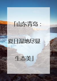 山东青岛：夏日湿地尽显生态美