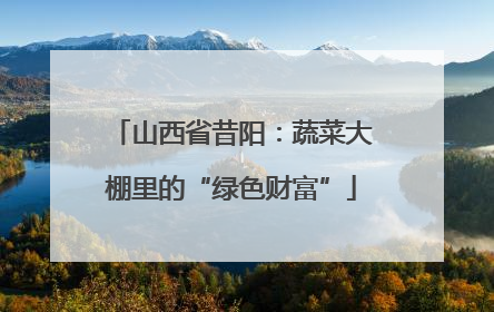 山西省昔阳：蔬菜大棚里的“绿色财富”