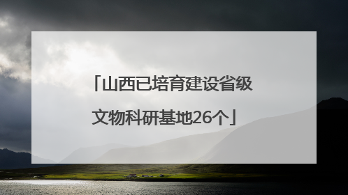 山西已培育建设省级文物科研基地26个